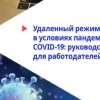 Руководство для работодателей по организации удаленного режима работы от МОТ