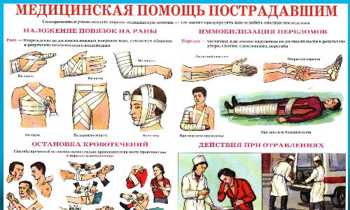Подписан закон, уточняющий правила оказания первой помощи и определяющий её понятие